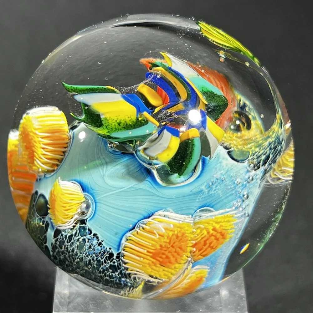 PTLI-206.25-3.jpg