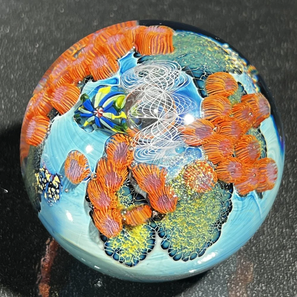 PWAP-8.34.26-3.jpg