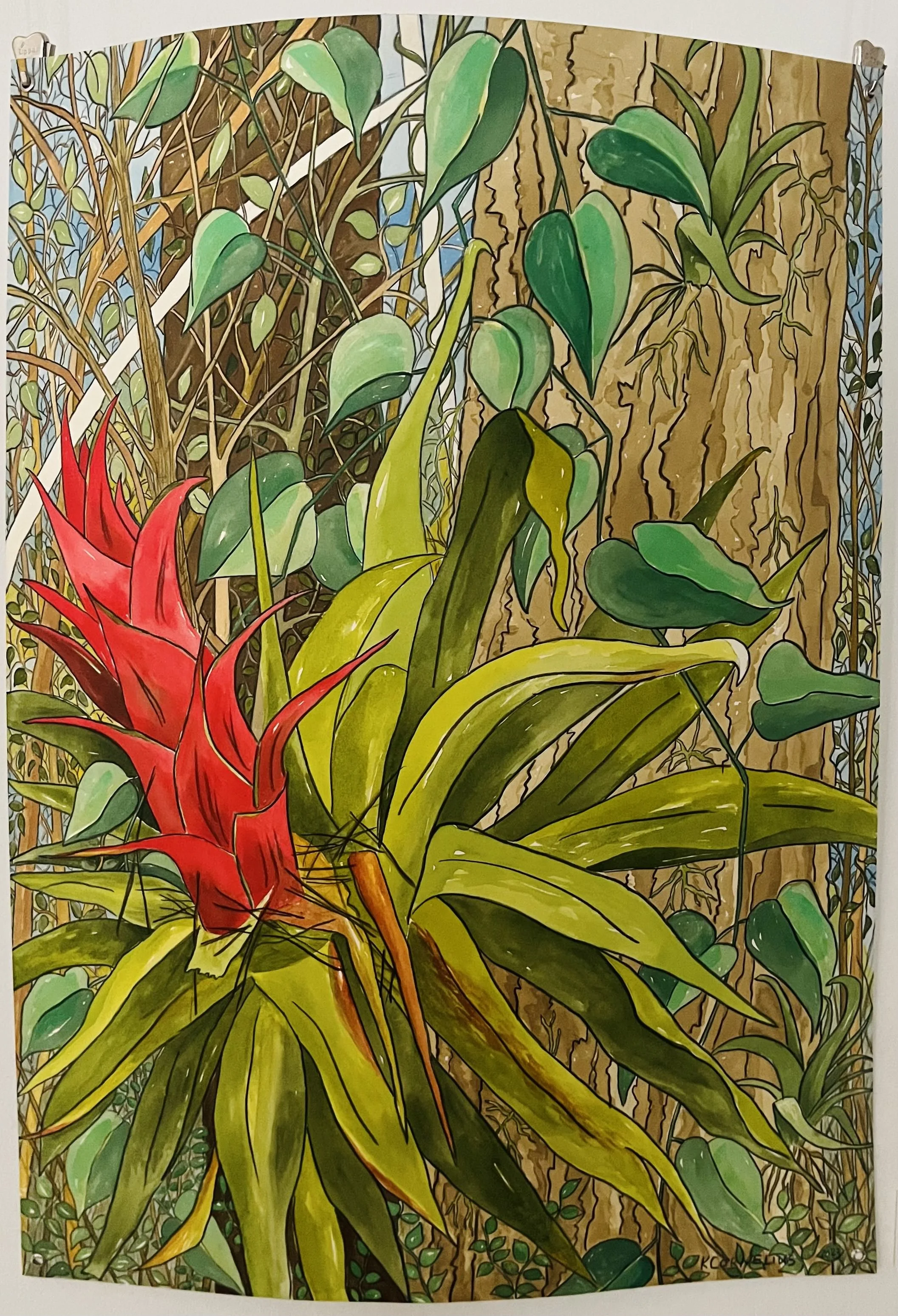 EnchantedBromeliad.jpg