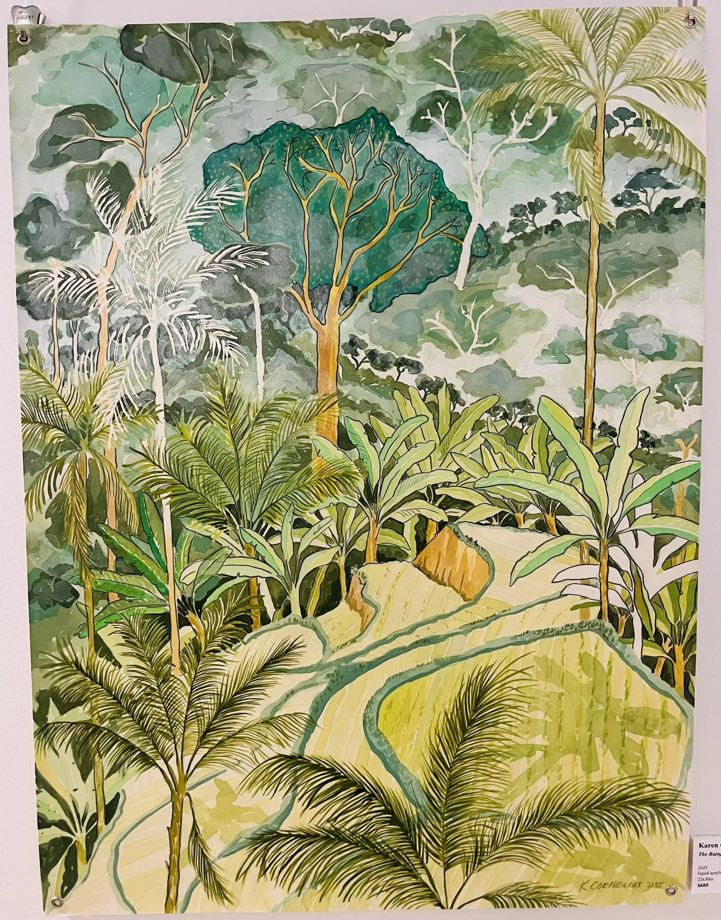 TheRainforestDisappears.jpg