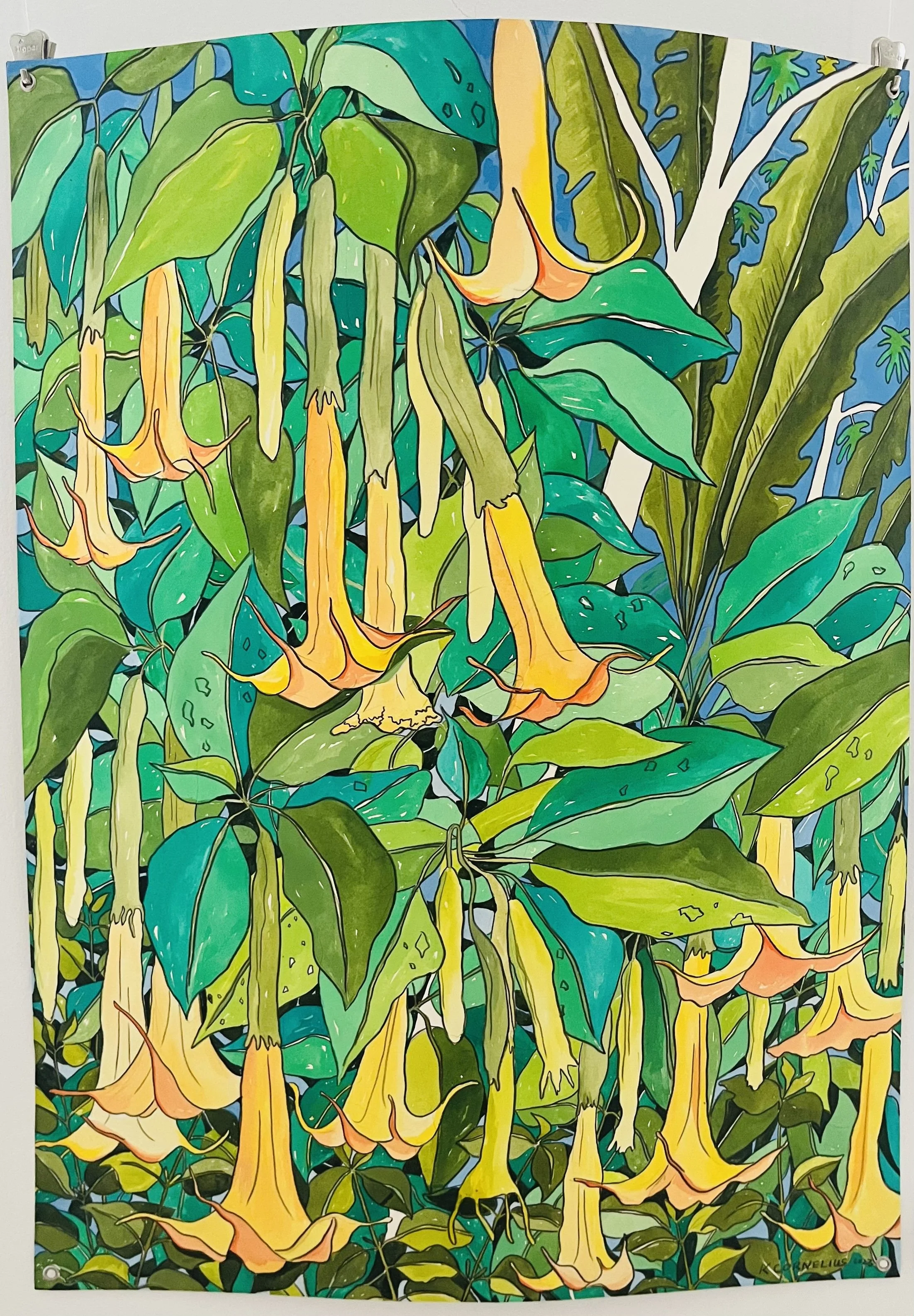 Tropical Splendor