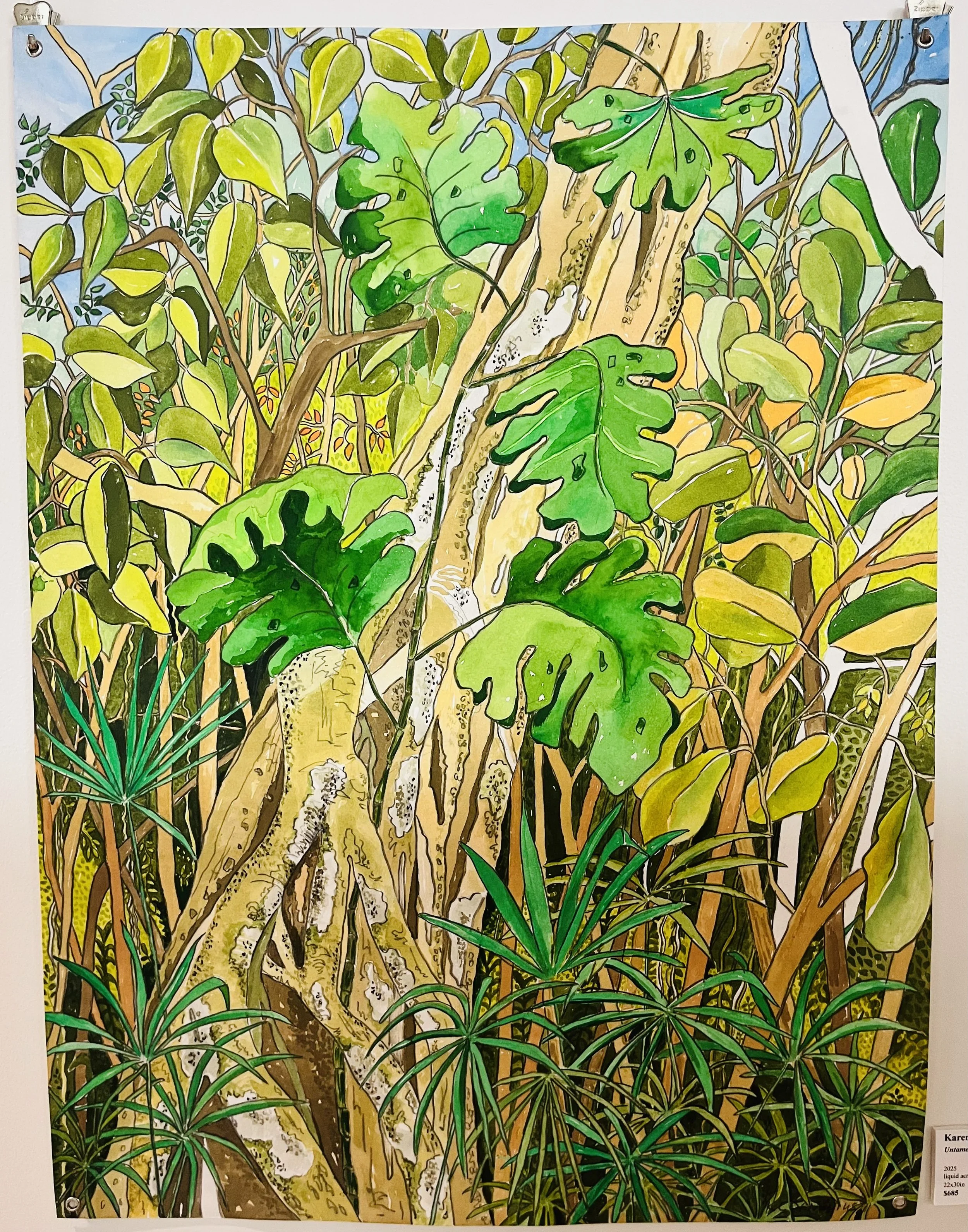 Untamed Jungle