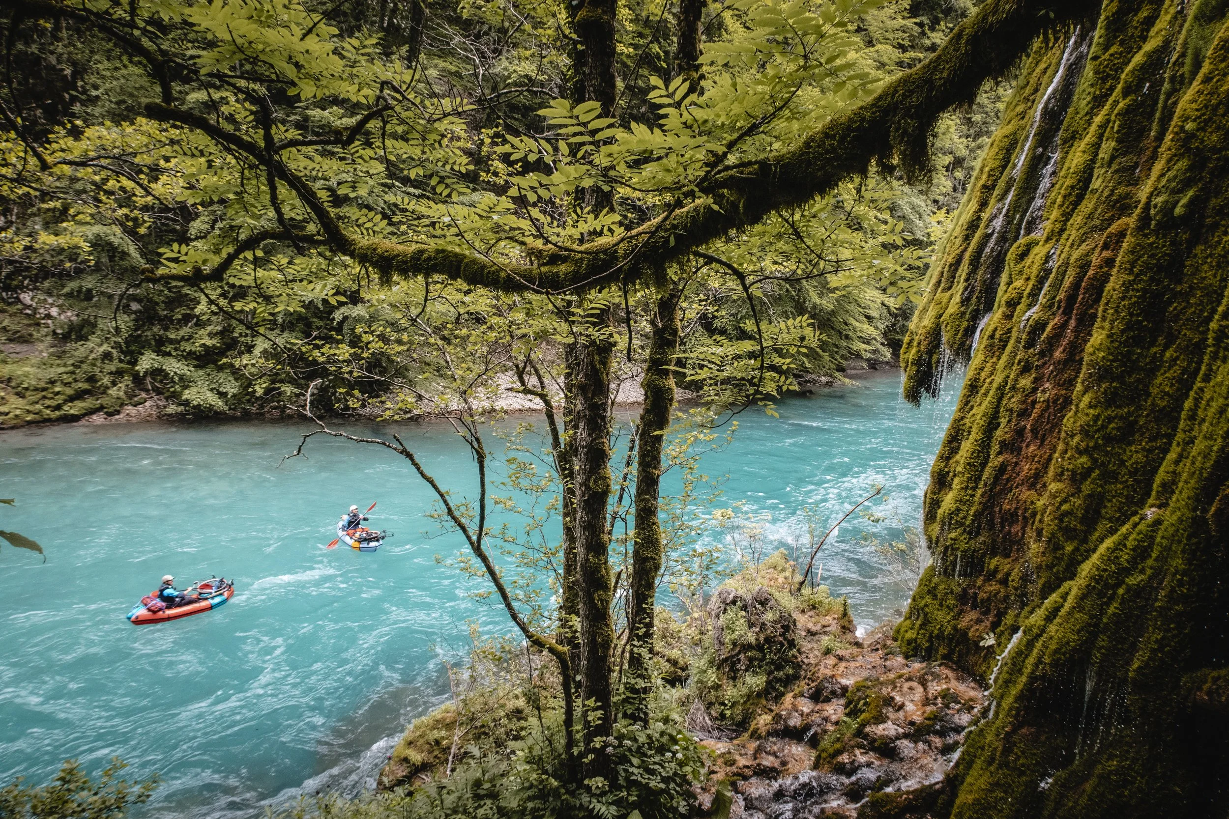 BOFF24_Film TräneEuropas__@GerhardCzerner_17.jpg