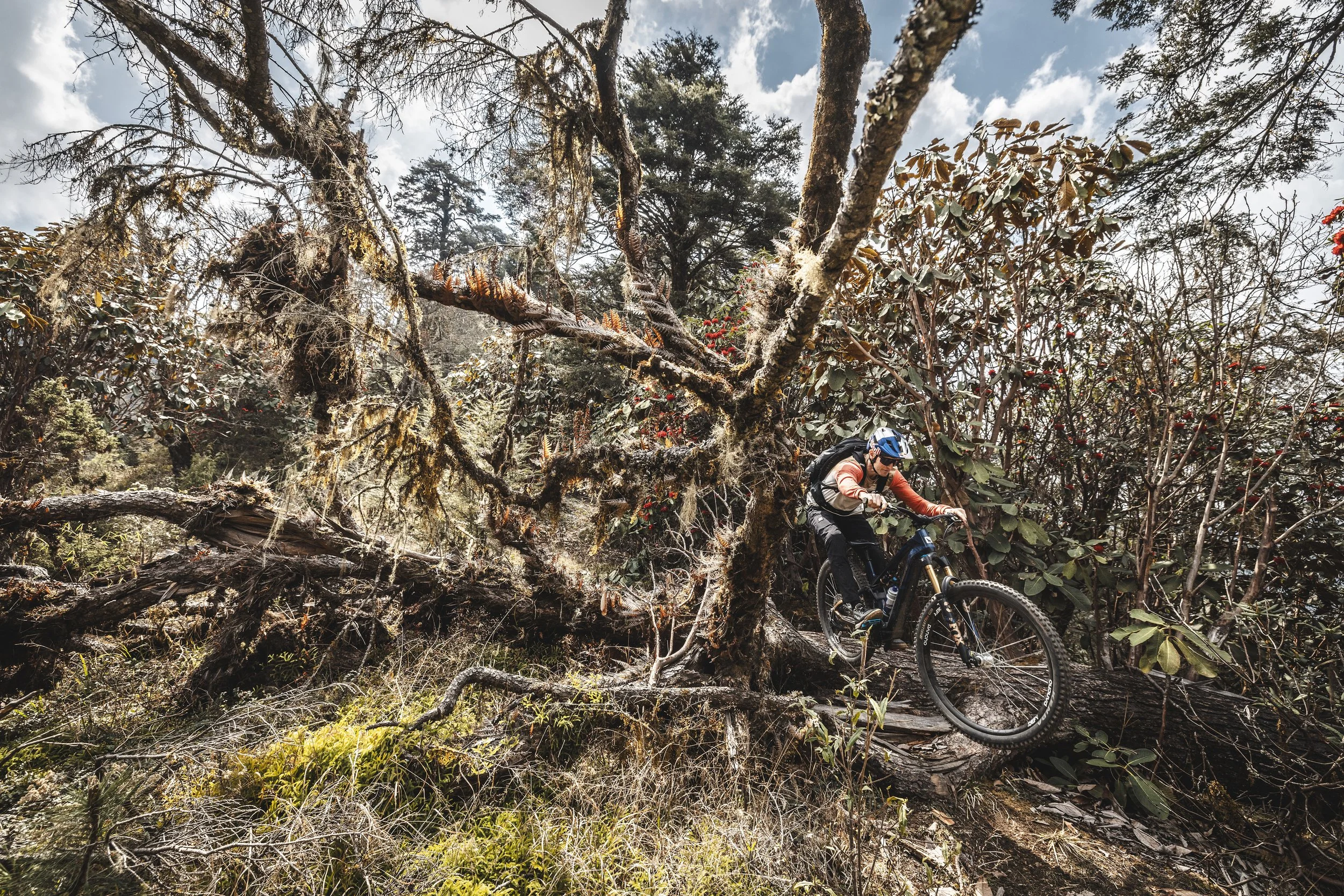 highres_bhutan-bike-2016.jpg