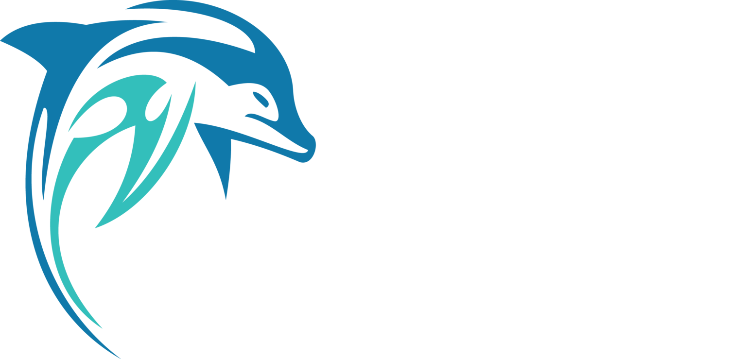 Dolphin Spirit