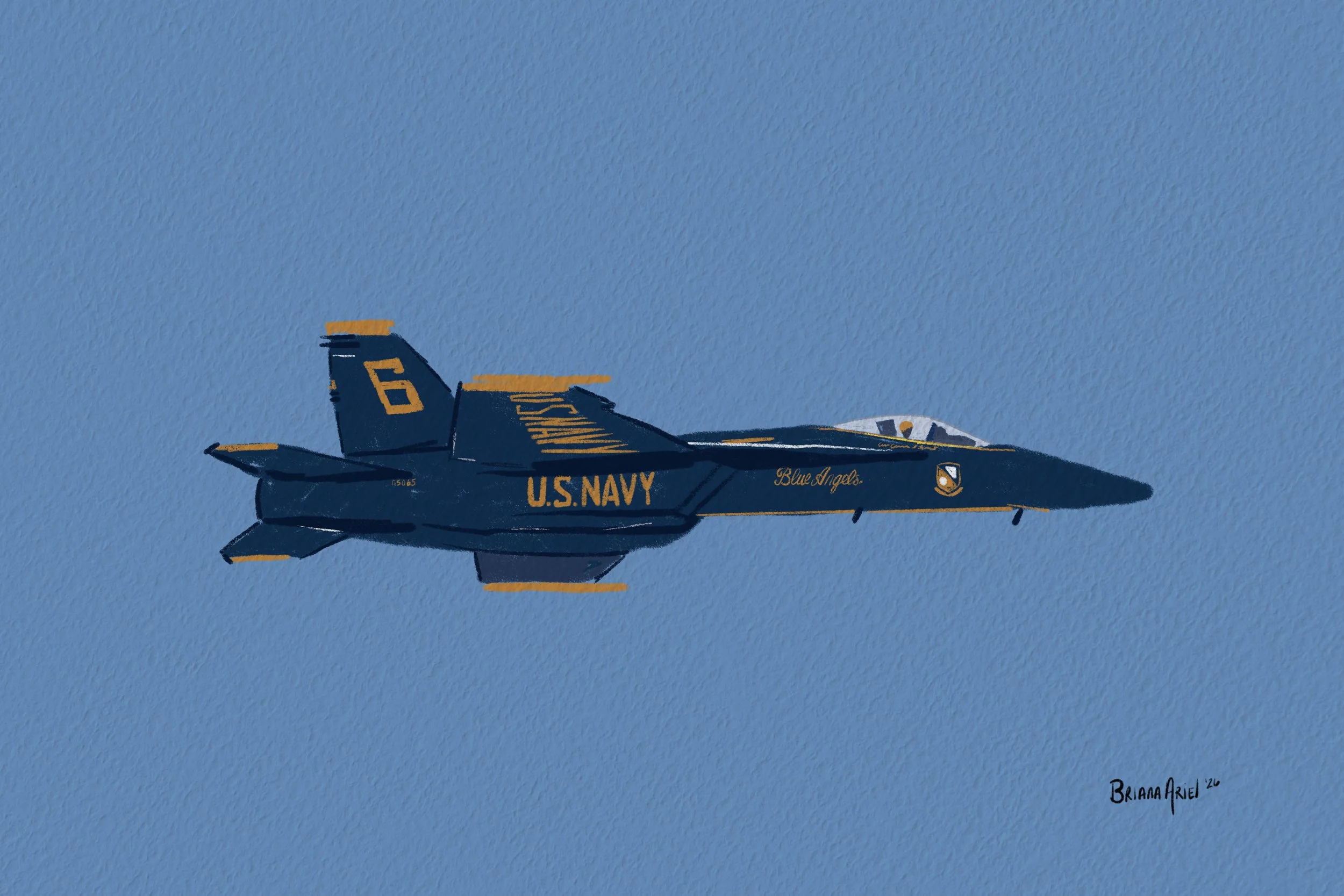 Blue Angels 2 by Briana Ariel.JPG