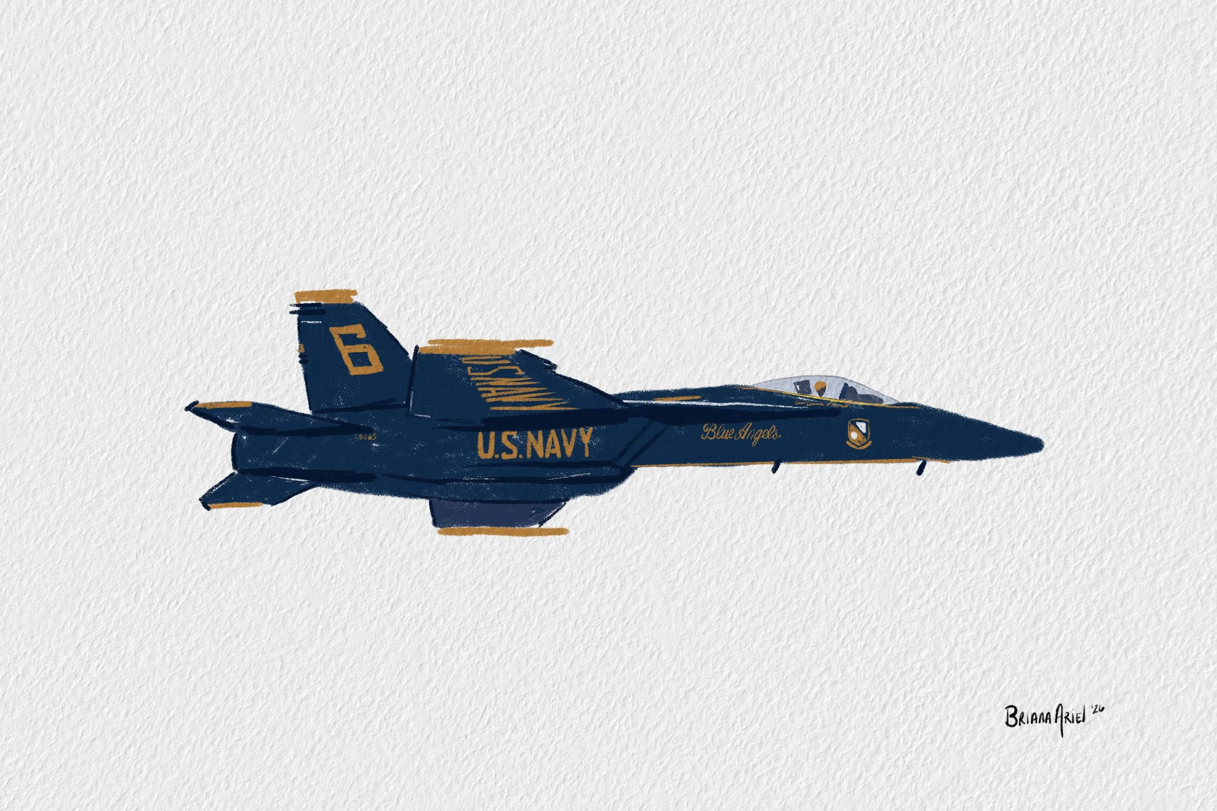 Blue Angels 3 by Briana Ariel.JPG