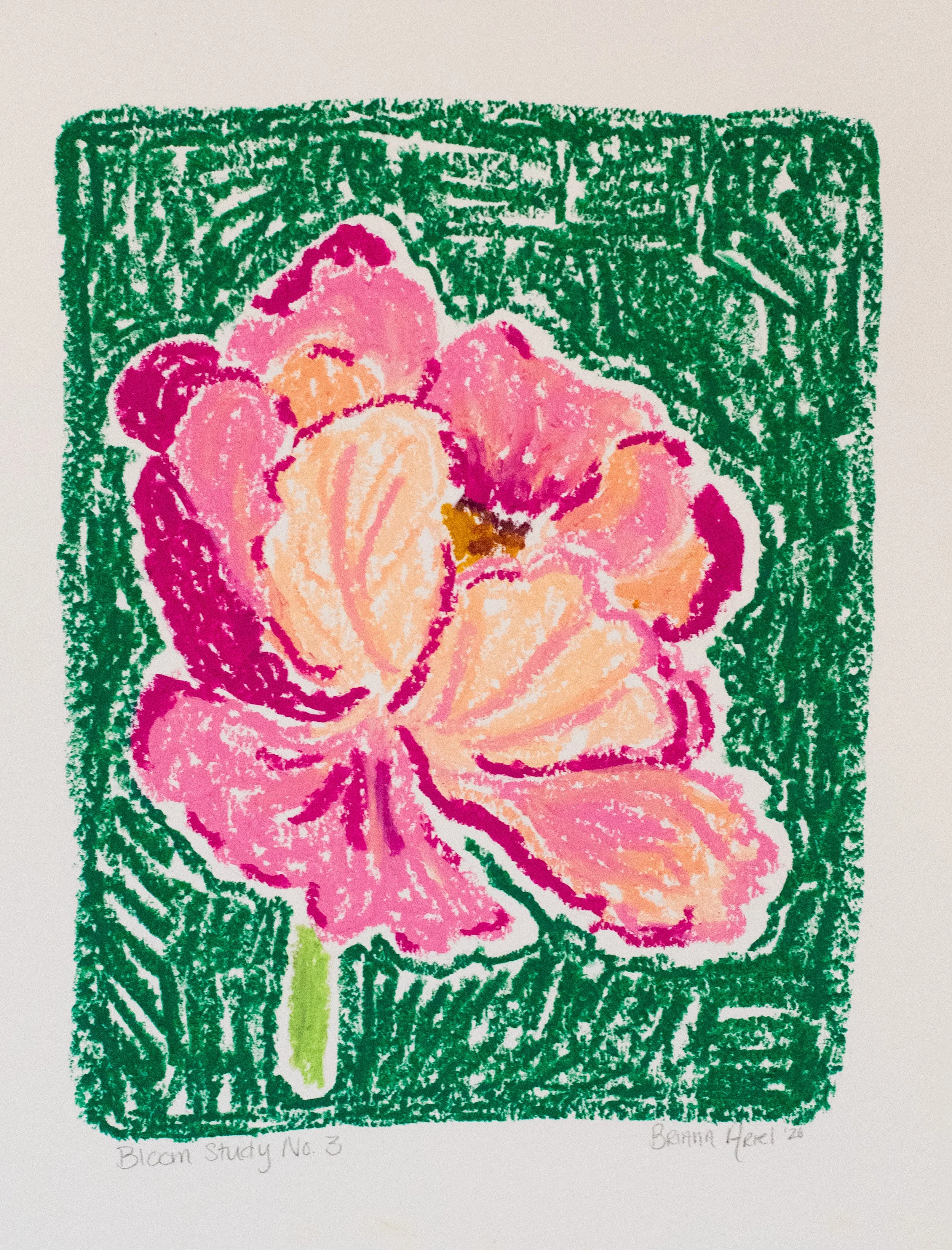 Briana Ariel Oil Pastel April 2026-15.jpg