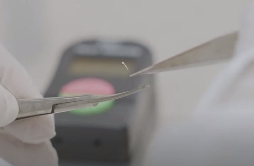 Stem Cell Banking