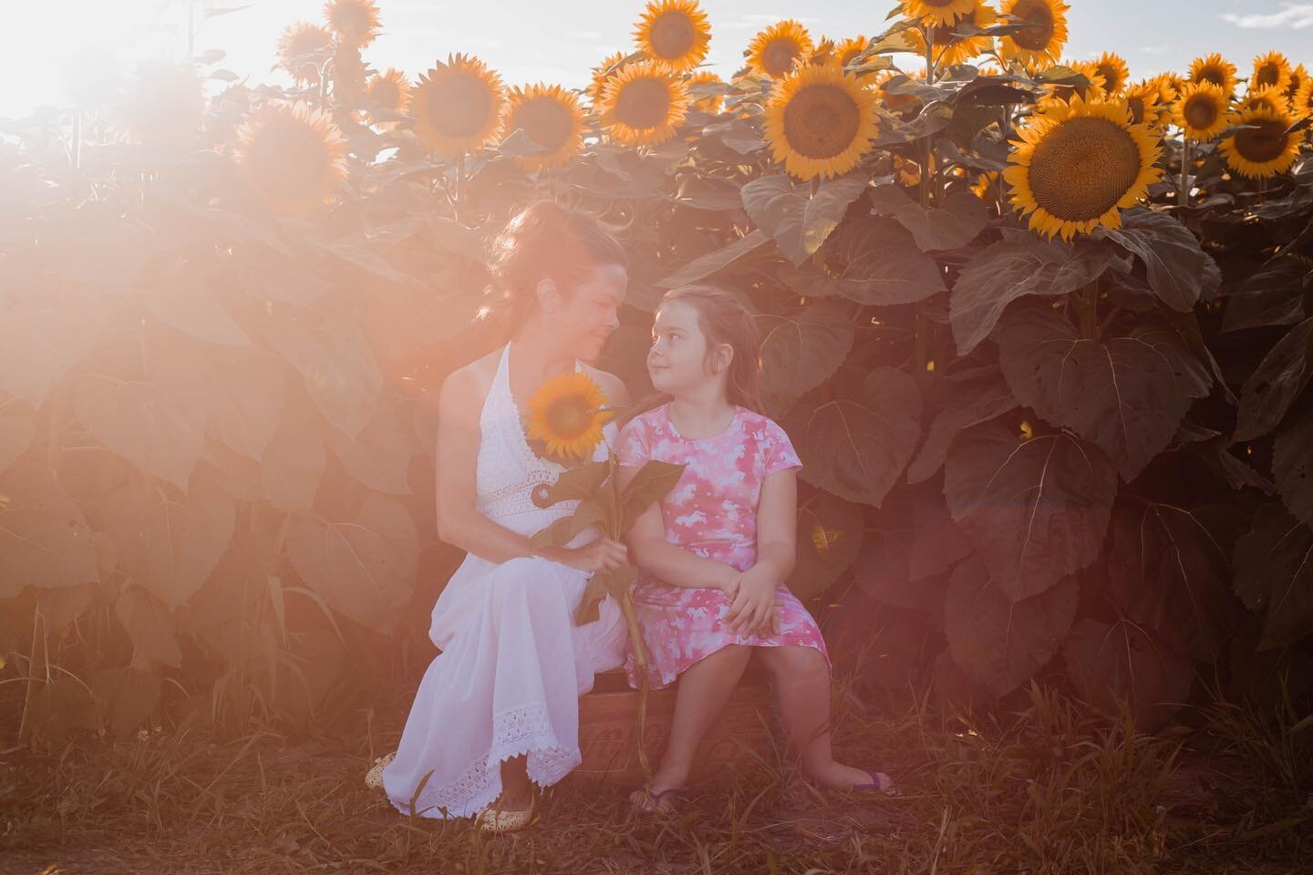 I loved the warm dreamy glow of this mother daughter session 🤩