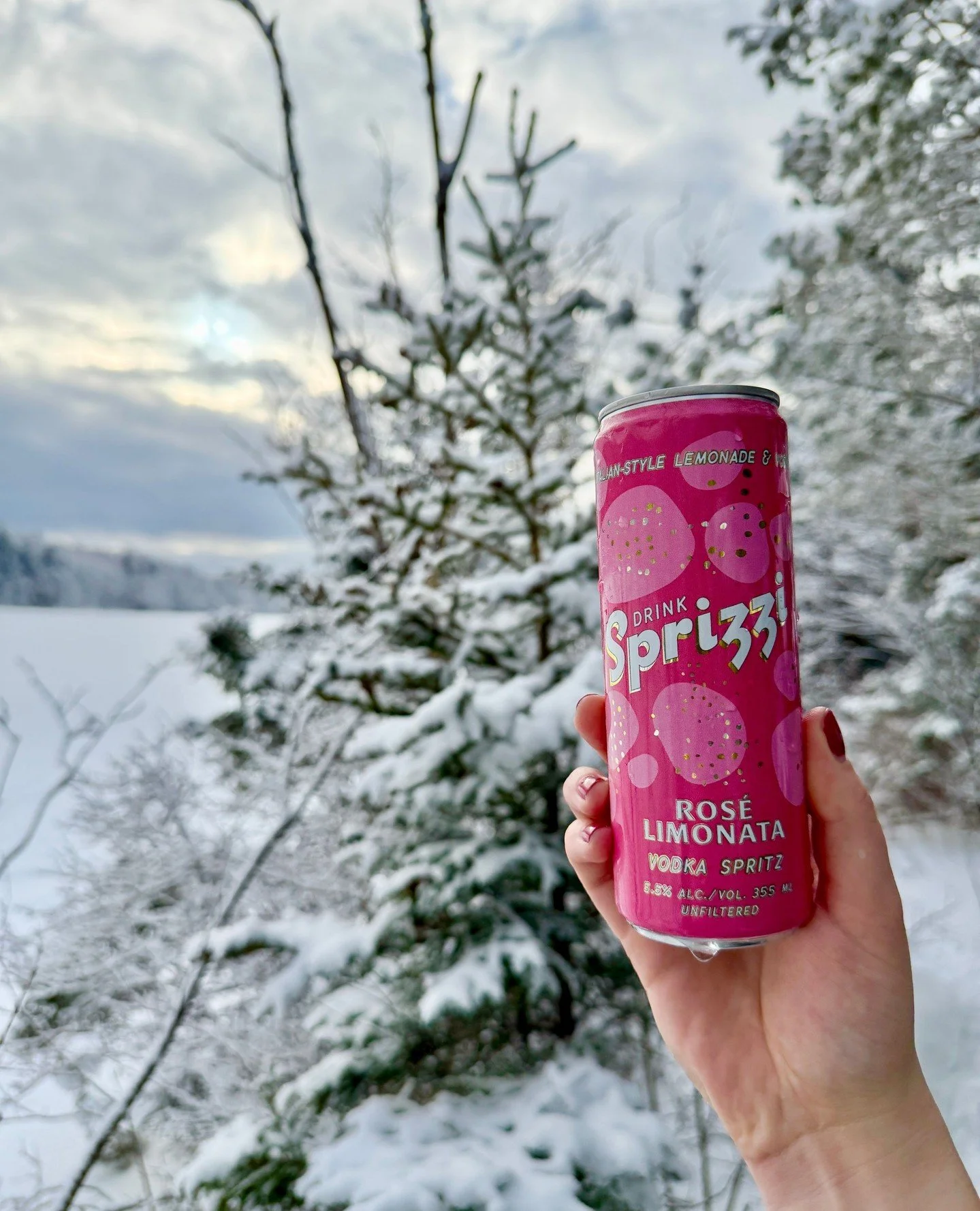 Ready for winter adventures? ❄️🍾 #apr&egrave;ssprizzi⁠
What are you getting up to this weekend?⁠
Find us at @902martock and enjoy a Sprizzi after a day on the hill 🥂⁠
⁠
#ExploreNS #Sprizzi #Apr&egrave;Ski #halifax