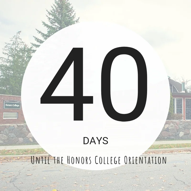 orientation countdown #40.jpg