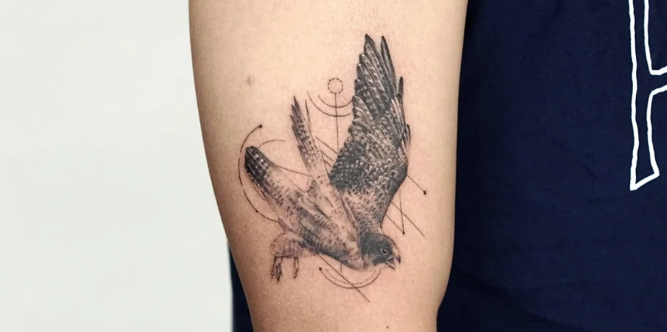 Am thinking about getting my first tattoo a falcon flying over my right  shoulder Im open for feedback on my first design what do you people  think  rTattooDesigns