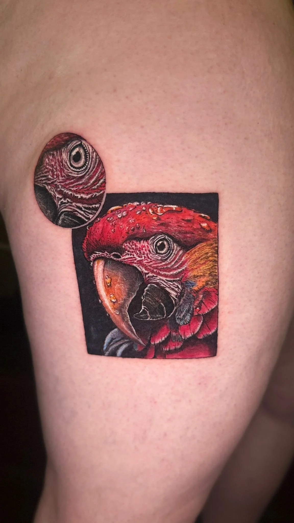 78dee5f3-7d0d-4797-922f-6bcb7751d94e (1).JPG