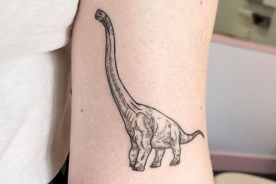 🦖 dino tattoo | Dinosaur tattoos, T rex tattoo, Tattoo designs