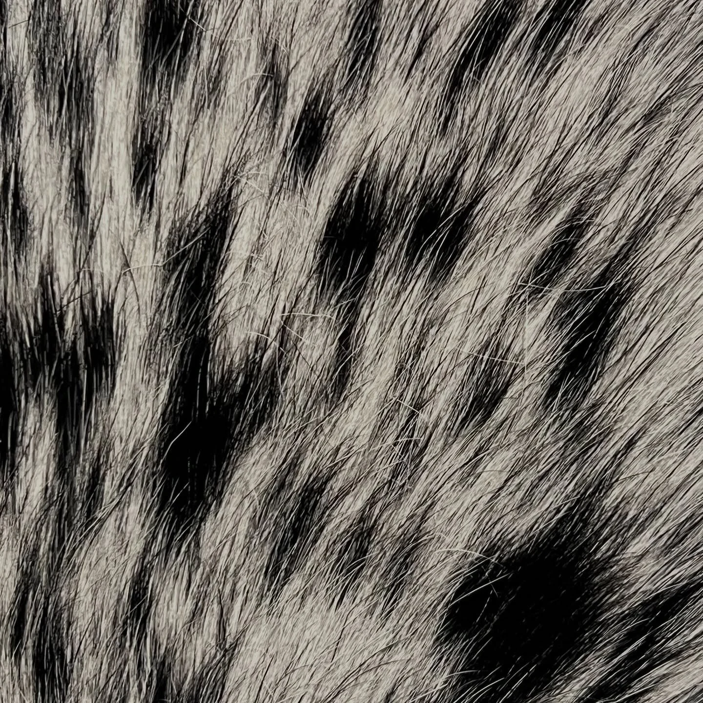 Texturepatternsanddetailsaremyjam