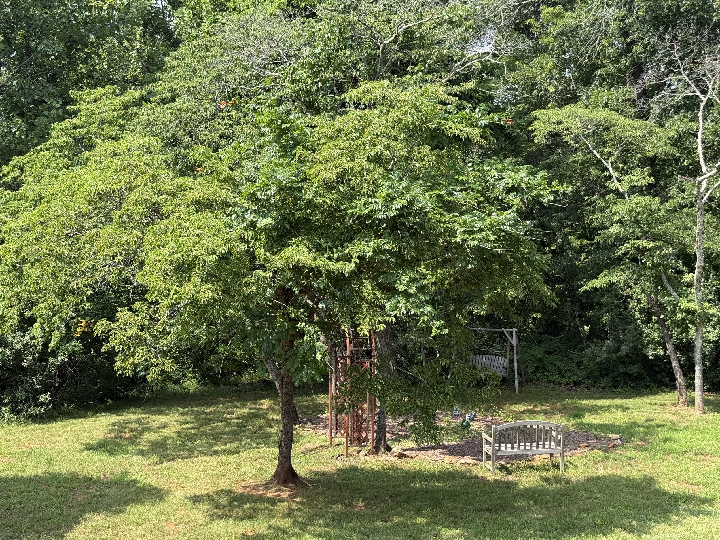 A backyard scene featuring a large green tree, a wooden garden bench, and a metal garden tower with a ladder. The area has grass, some plants, and a clear sky is visible in the background.