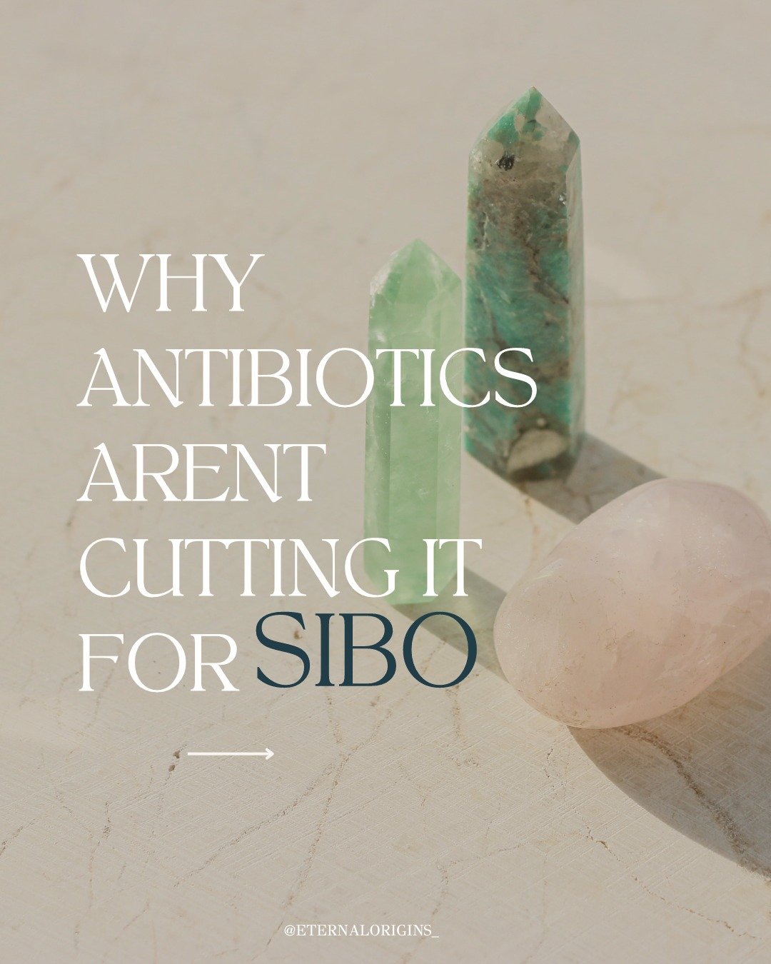 SIBO is much more common than people think..

Symptoms like bloat, gas, food sensitivities, &quot;IBS&quot;, histamine intolerance, brain fog, acne, etc... can all be signs of SIBO.

When the digestive system starts to malfunction, many individuals a
