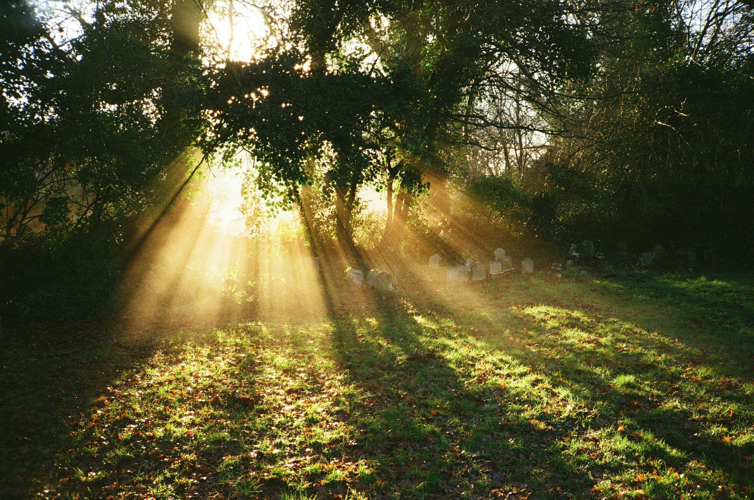 Spring Qi Chats | Week 6