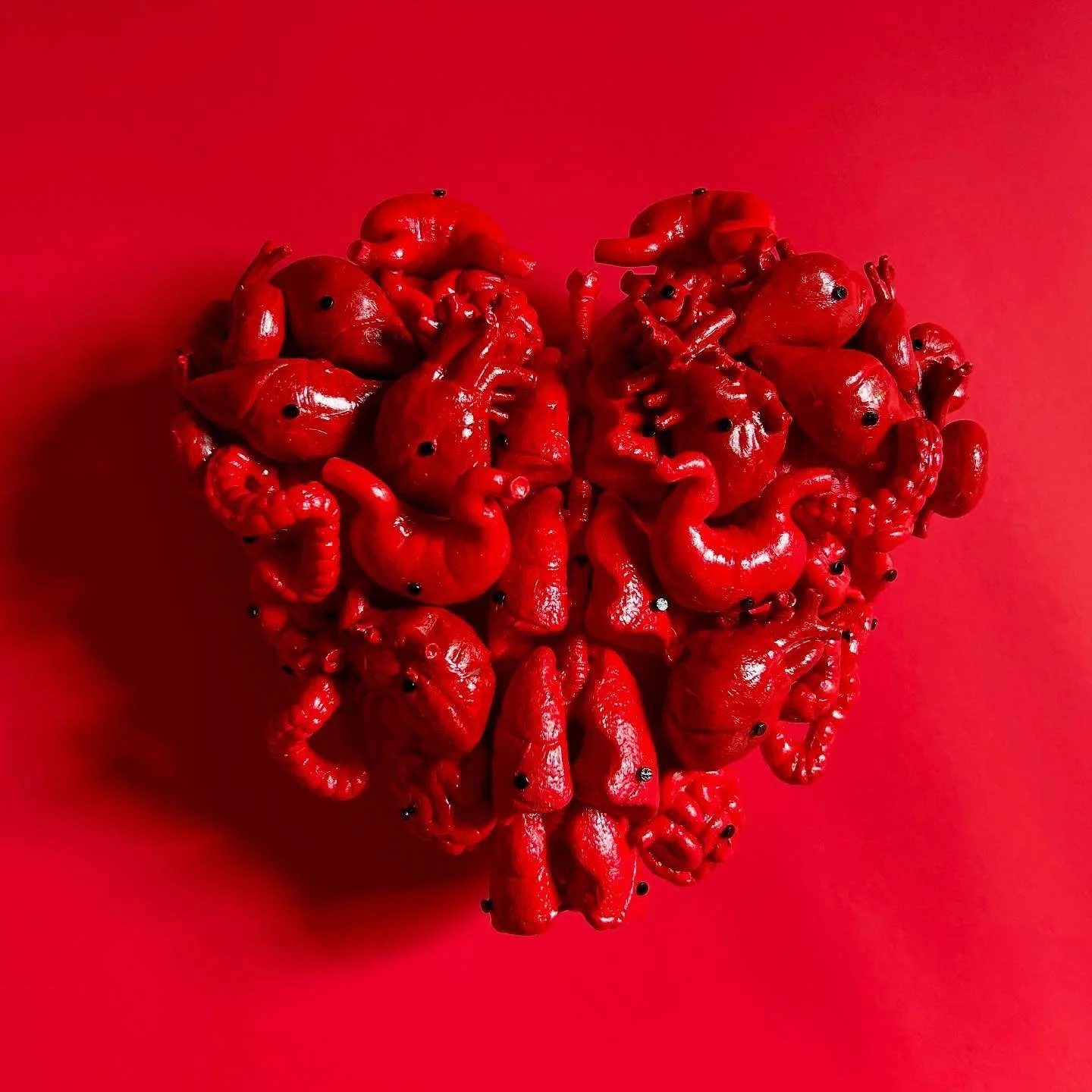 Organ Heart