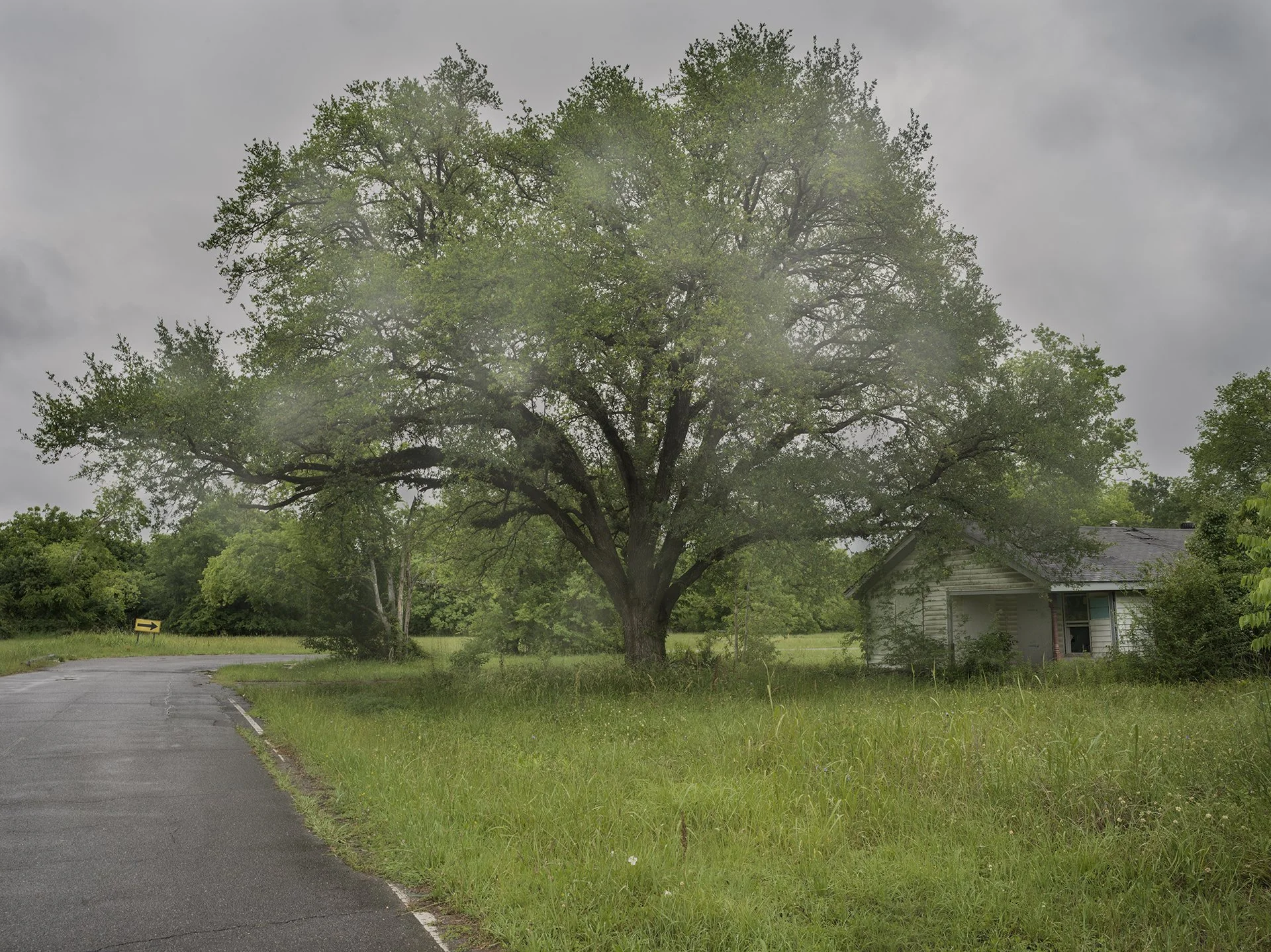 13.SquirrelRoad copy.jpg