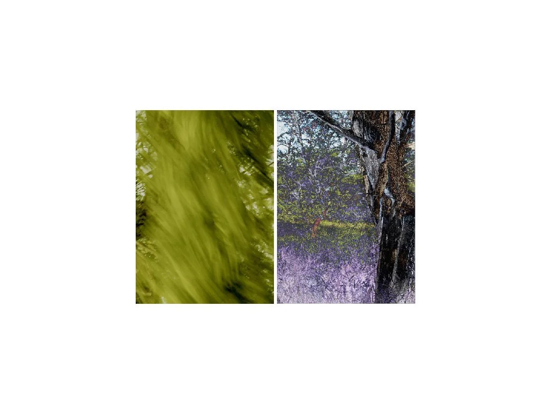 Imperceptible | 2018