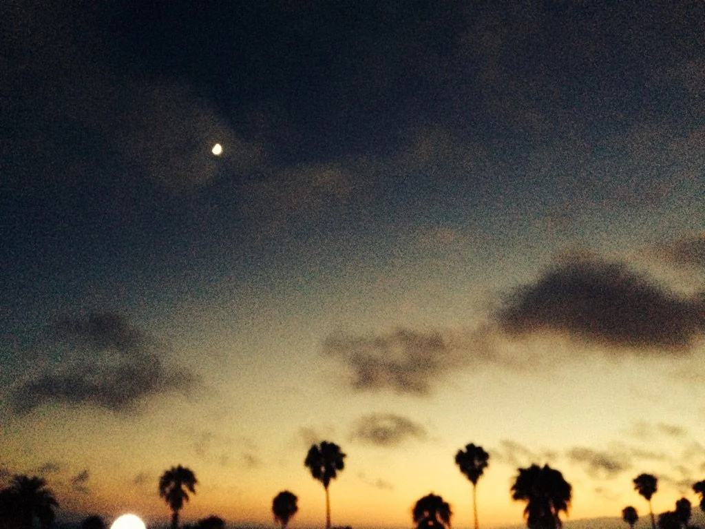 Sunset sky with clouds, palm trees silhouette, and a visible moon.