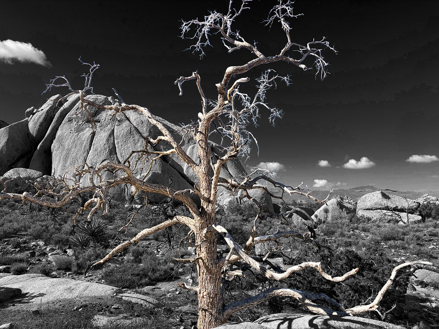 19.BWTree.jpg
