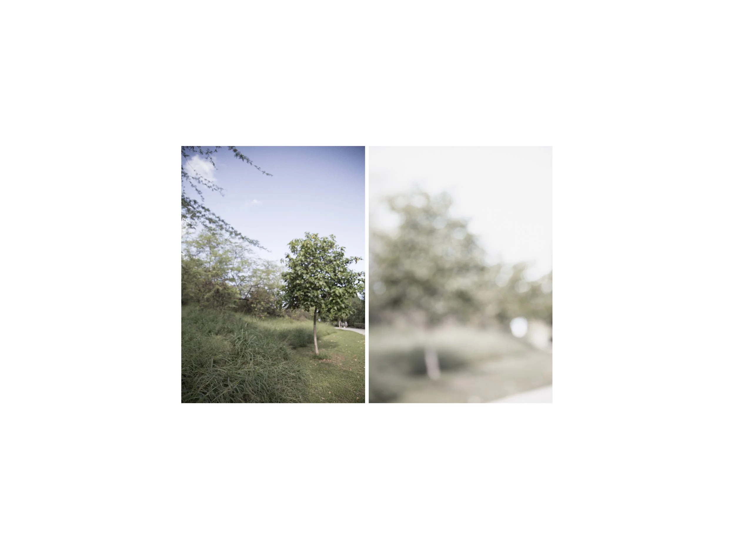 Indiscernible | 2018