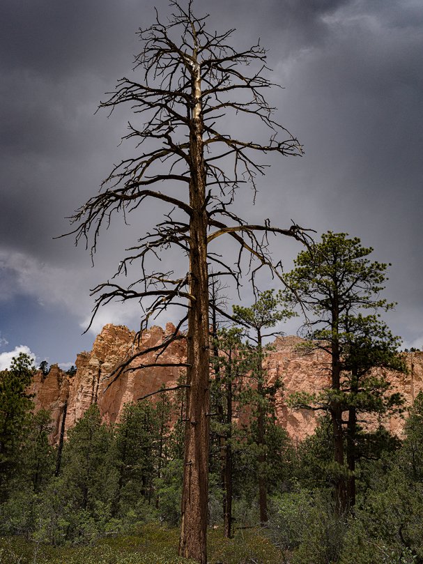 Bryce Canyon | Utah