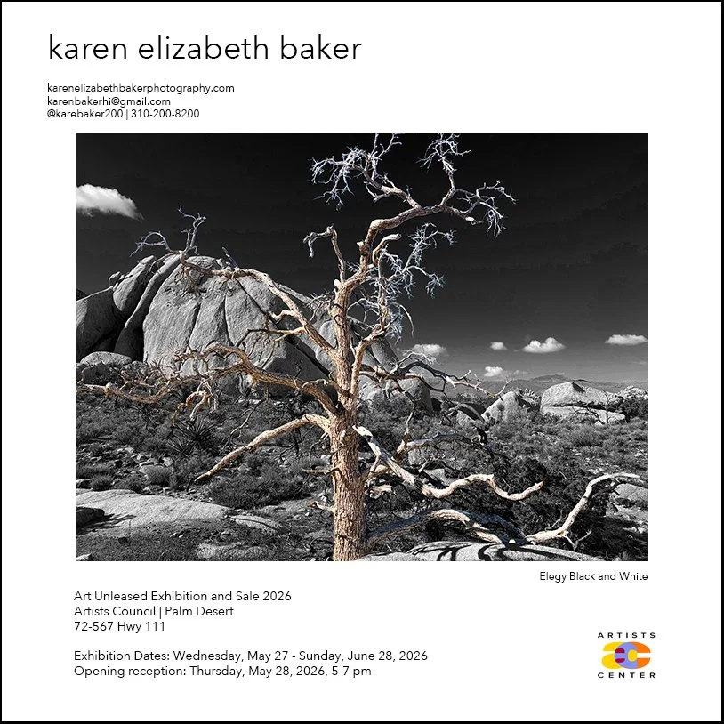 Elegy Black and White_Art-Unleashed2026 copy.jpg