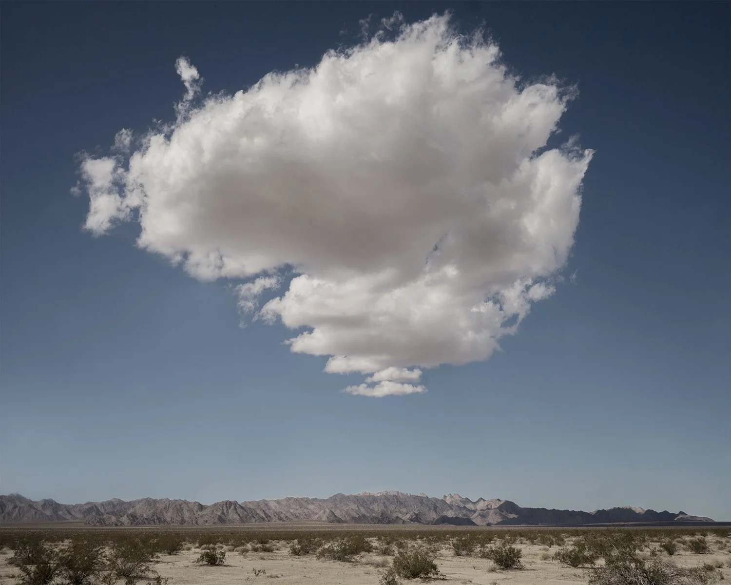 A desert landscape with sparse vegetation, distant mountains, and a large white cloud in a clear blue sky.