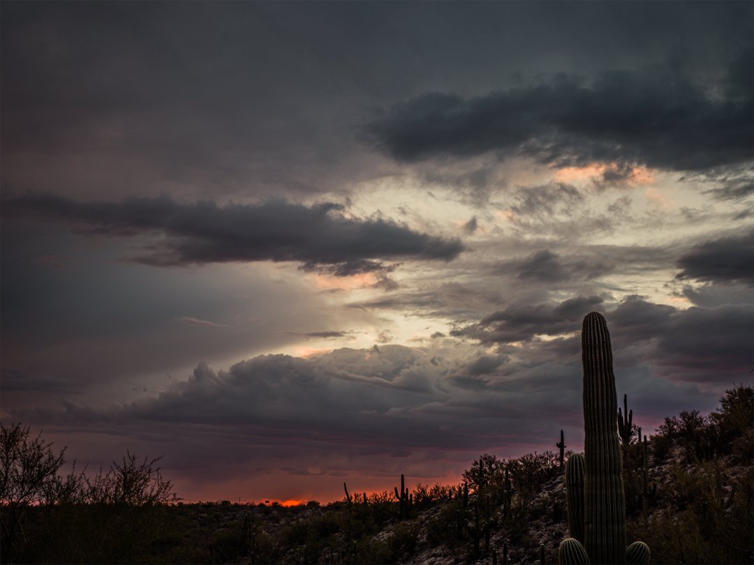 Tucson | Arizona