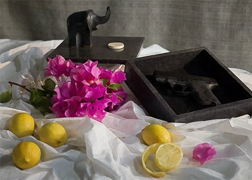 8.Baker_Home Security.jpg