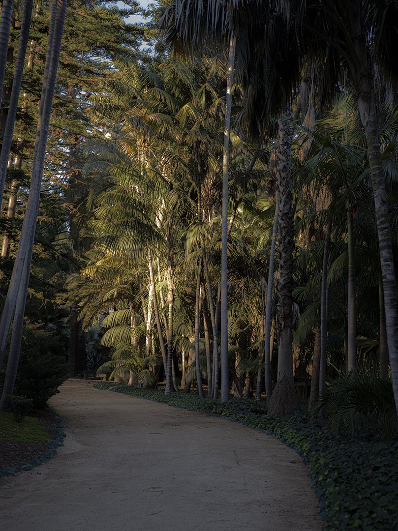 Path