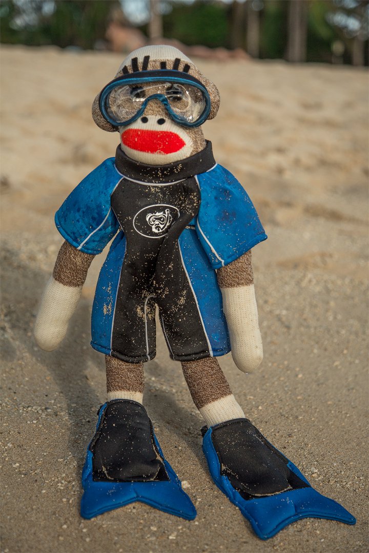 The Baby in a Scuba Outfit at the beach