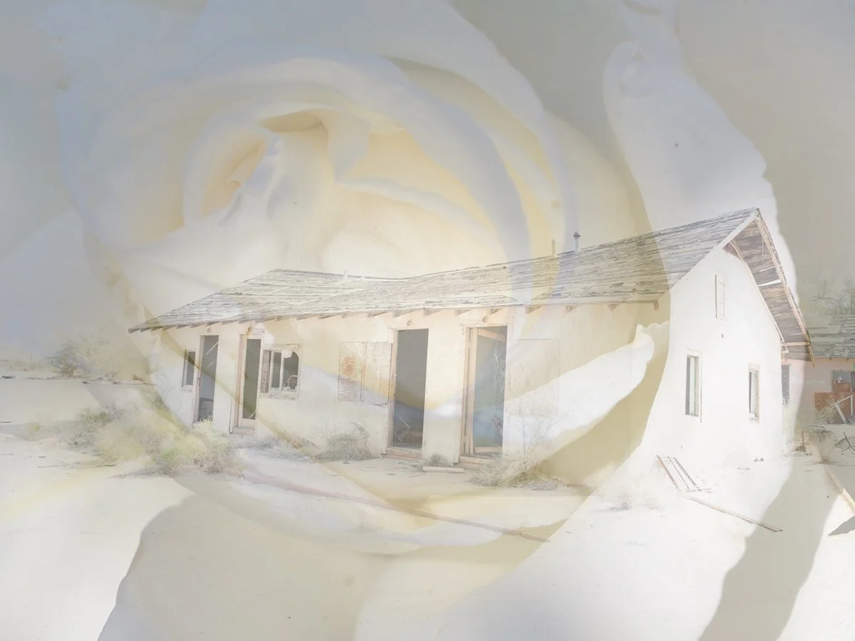 Double exposure style image of a house with a rose in the background.