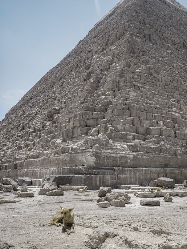 Giza Plateau | Egypt