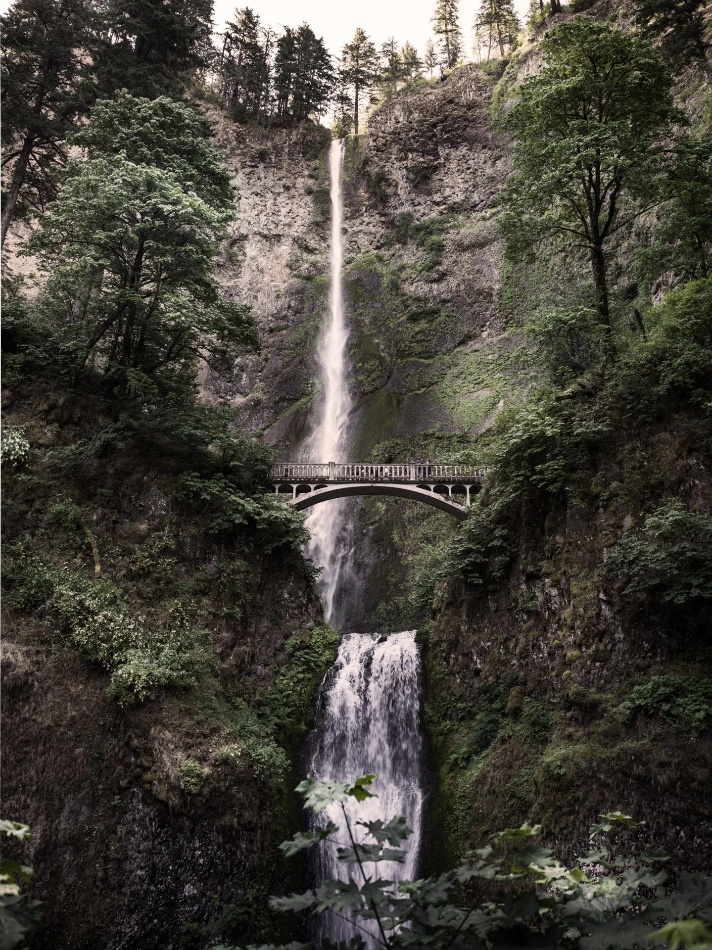 14.MultnomaFalls.jpg