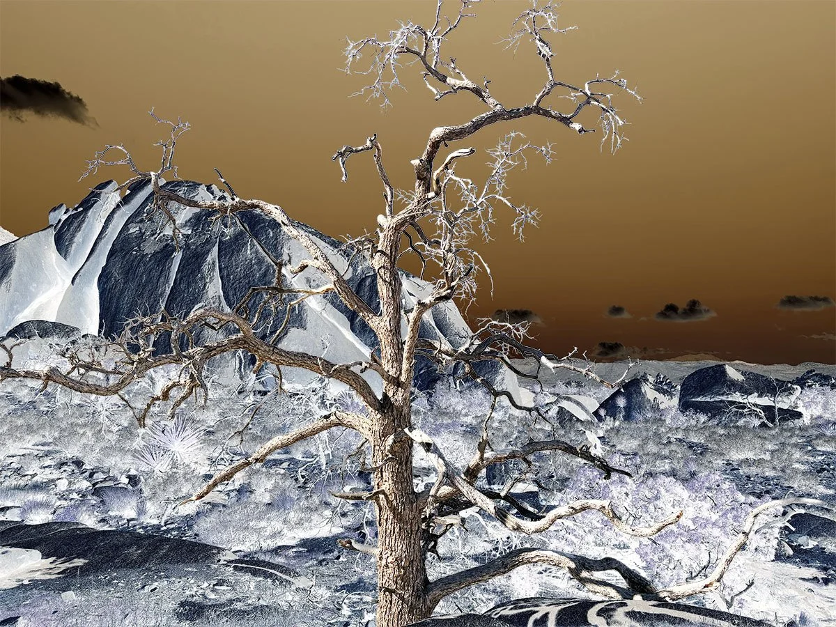 THE REMAINS OF WATER