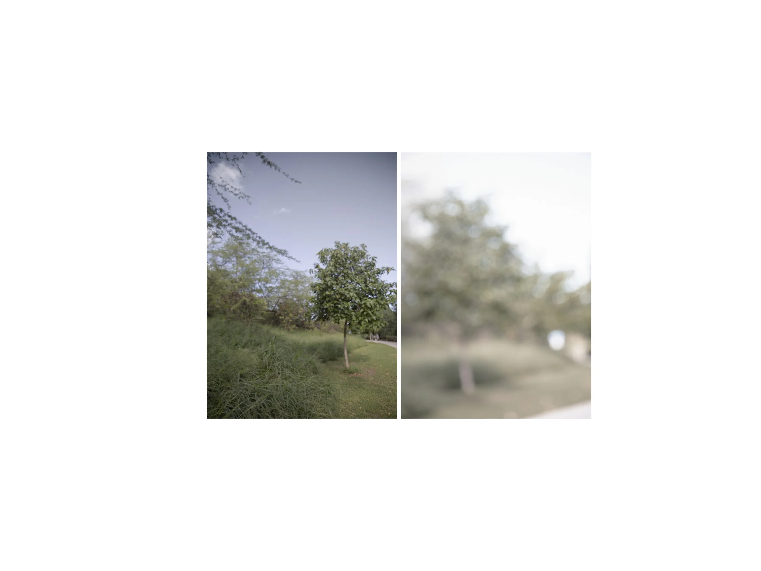 Indiscernible | 2018
