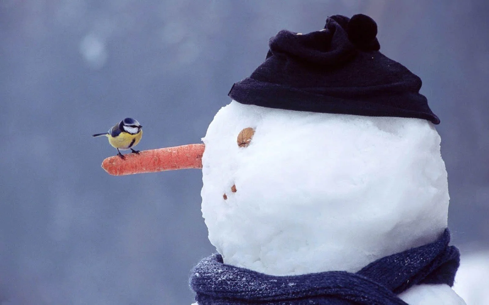 Snowman 2 2024.jpg