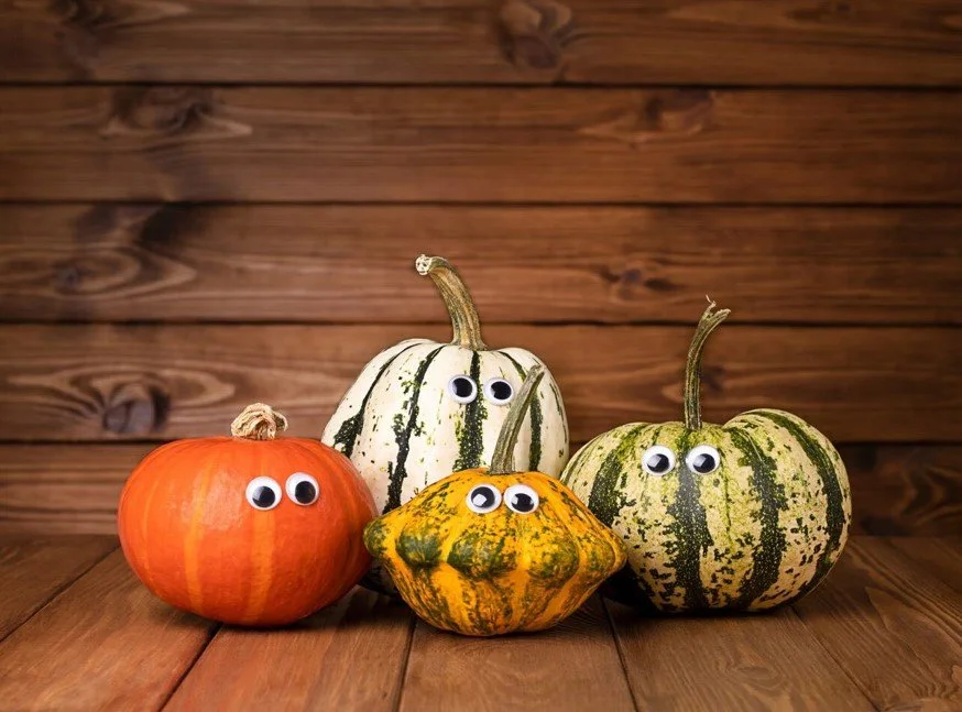 pumpkins 2025.jpg