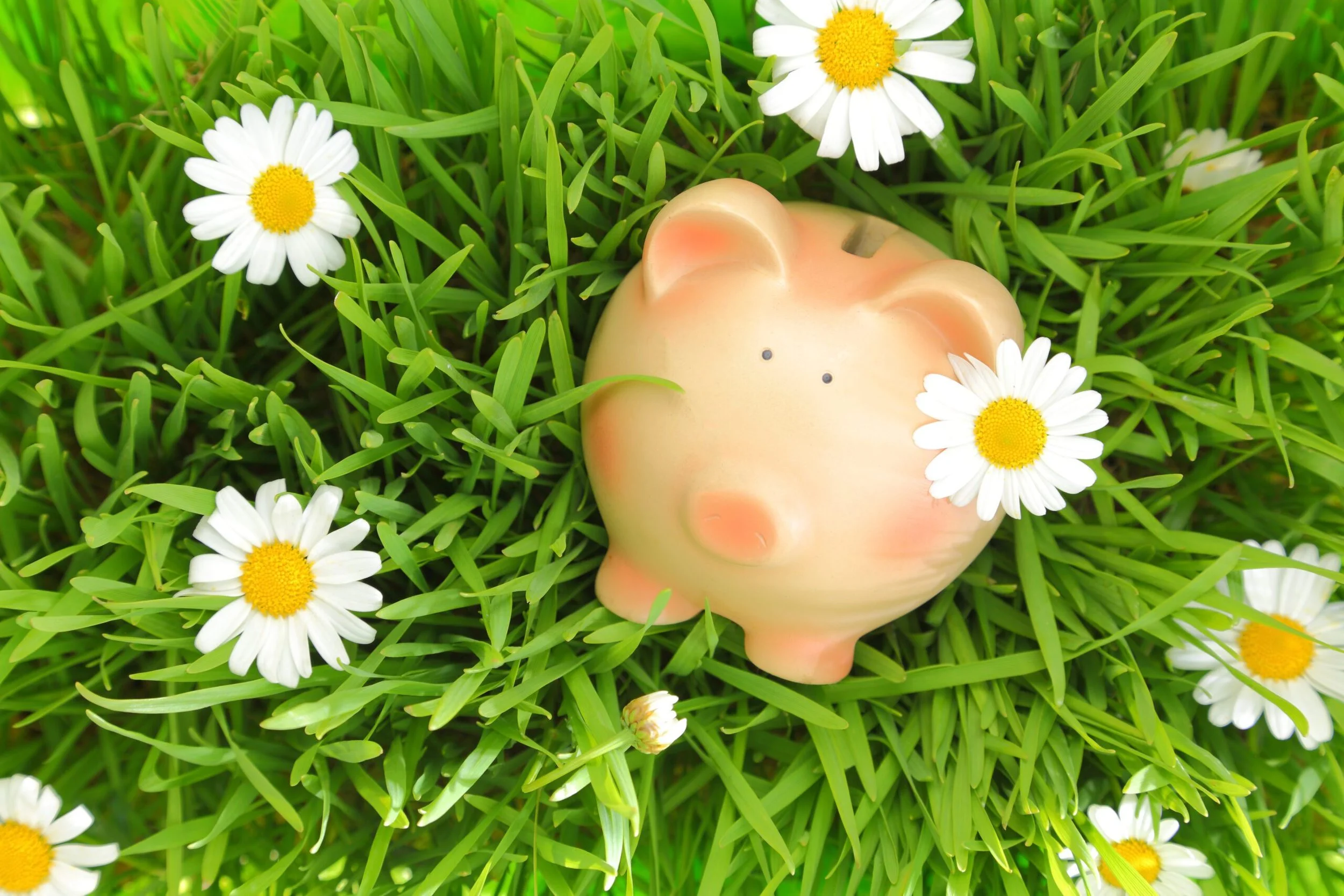 piggy bank flower.jpg