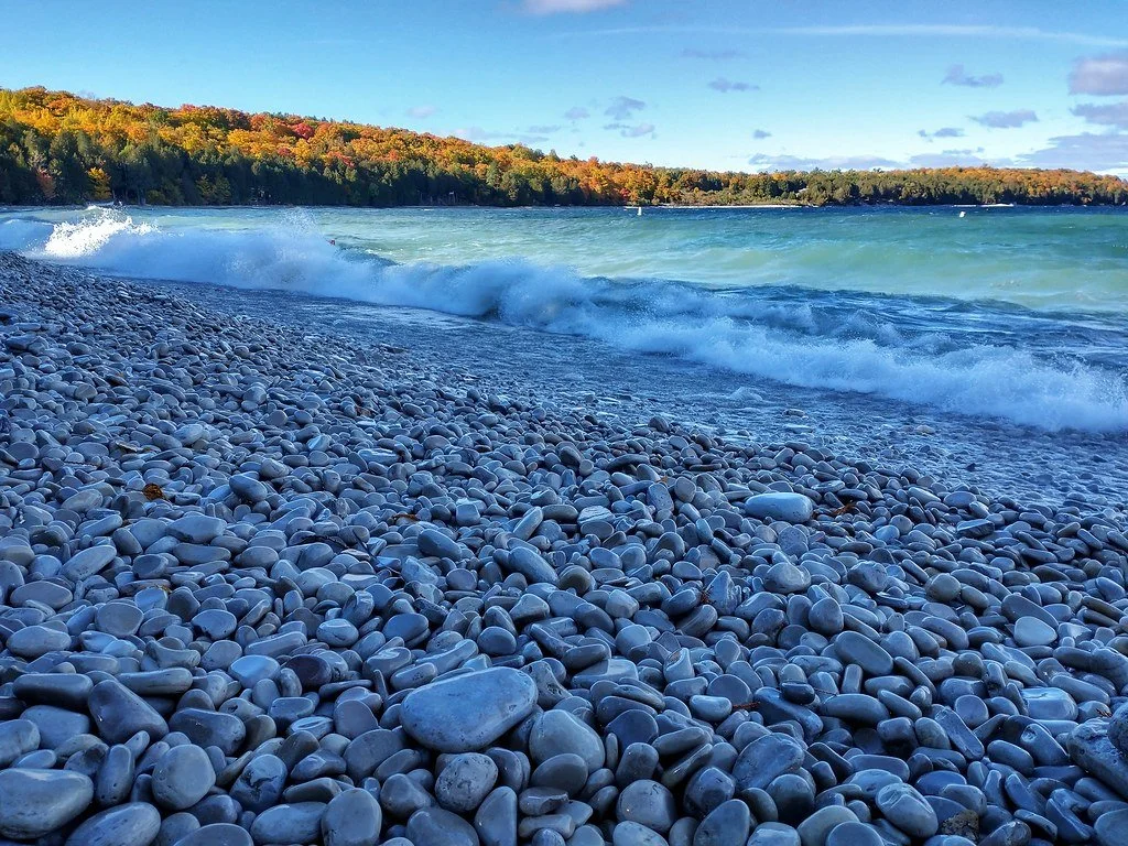 Forms - Member Survey.jpg