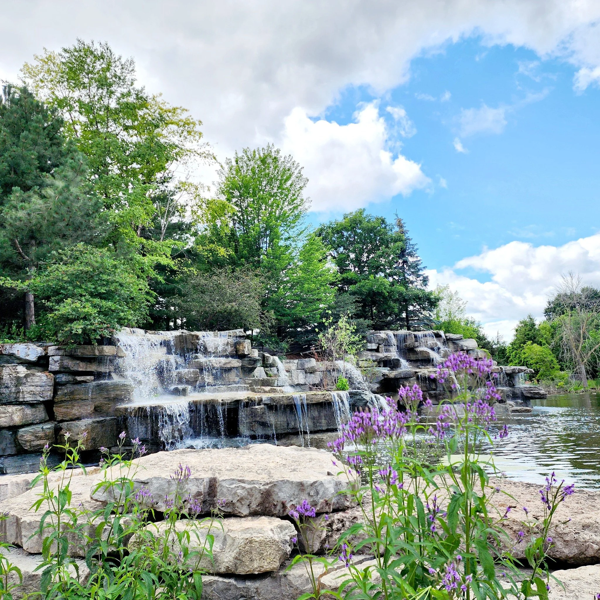 Fees and Charges.jpg