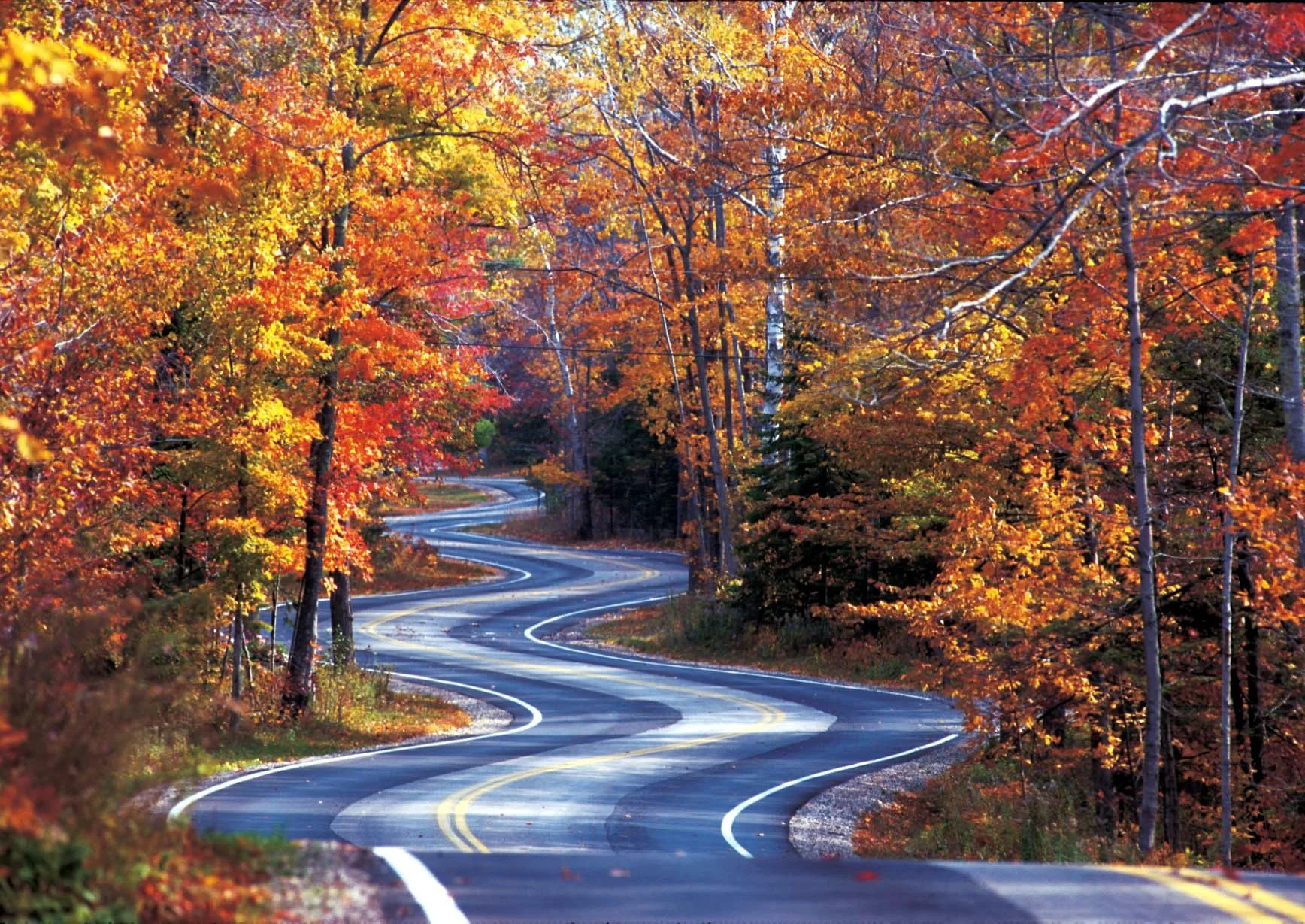 fall.jpg