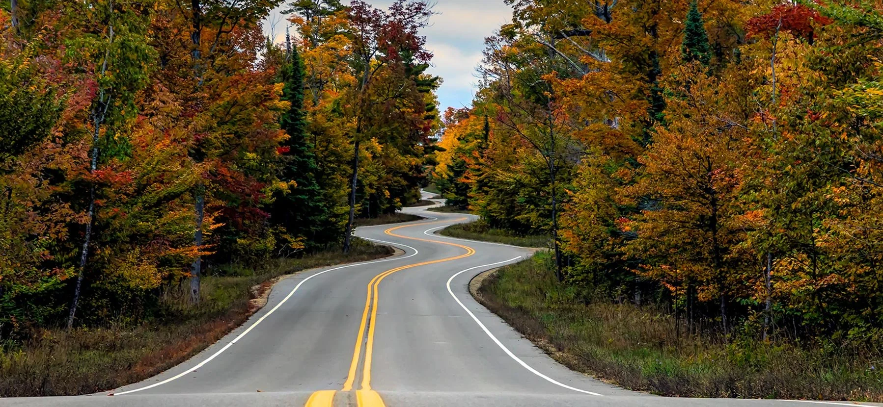 Forms - Change of Address.jpg