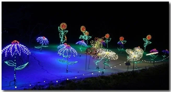 web accessibility.jpg