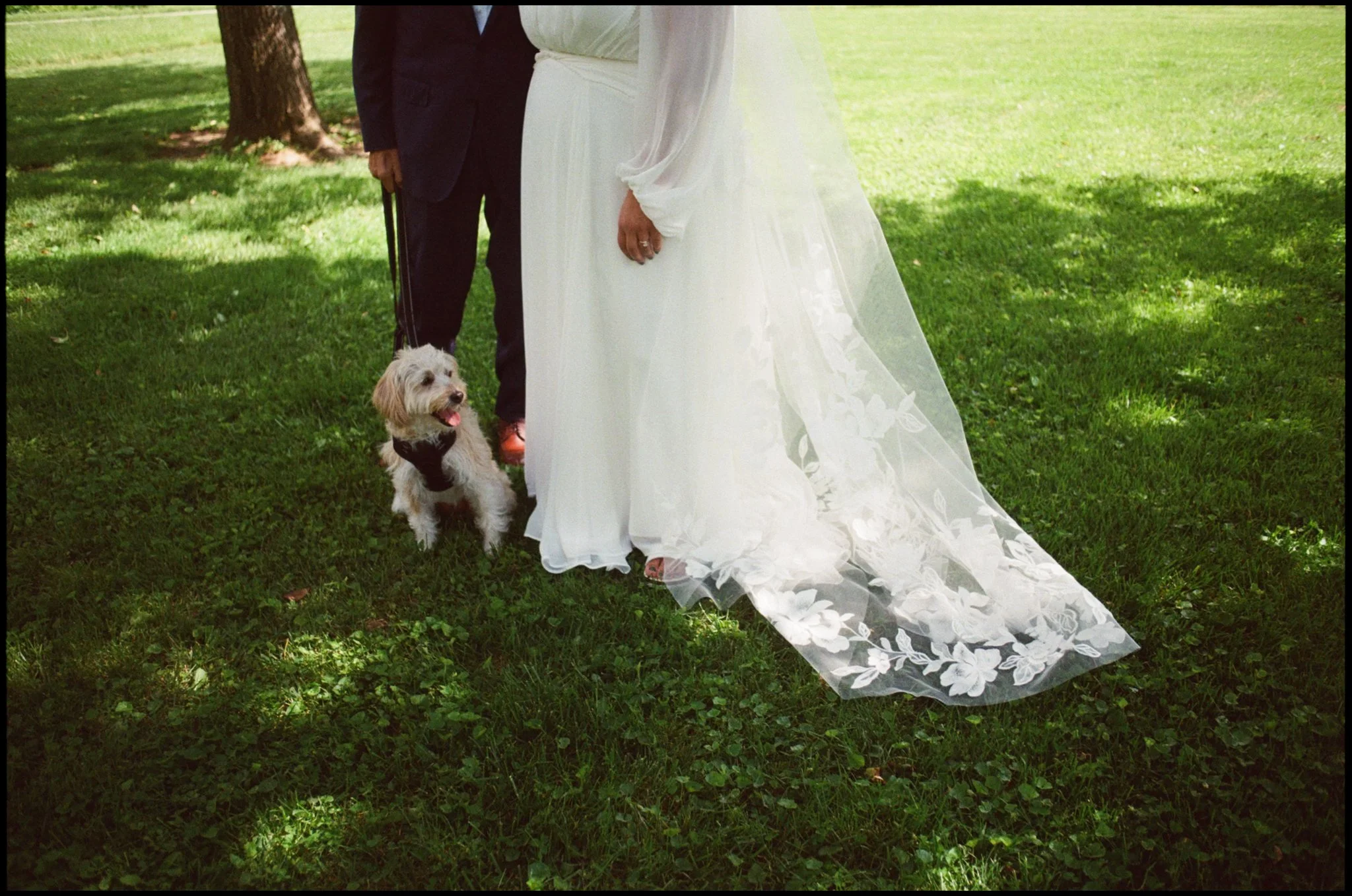 Bride and groom standing outdoors on grass, with a dog on a leash. The bride wears a white wedding dress with a train and the groom wears a black suit.